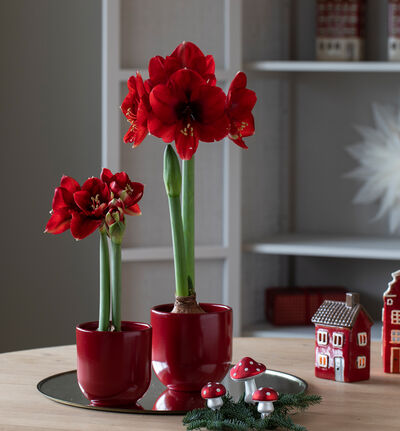 Harmoni blomsterpotte rød 14 cm Harmoni blomsterpotte rød 14 cm